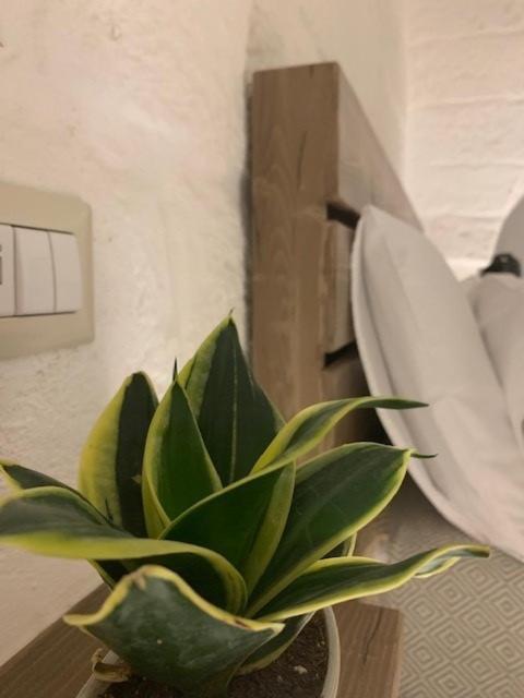 Boutique One Fasano